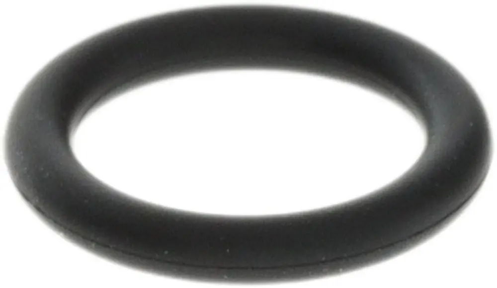 Schwarzer O-Ring von Bosch, rund und gummiert, ohne erkennbare Maße, auf heller Hintergrundfläche dargestellt.